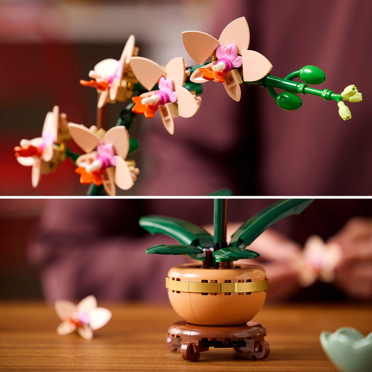LEGO Botanicals Mini Orchid Building Set 10343
